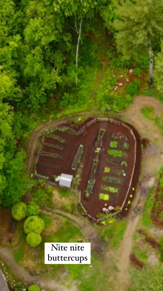 Affordable residential landscaping for outdoor upgrades across Leicester, MA - Evolve Landscaping