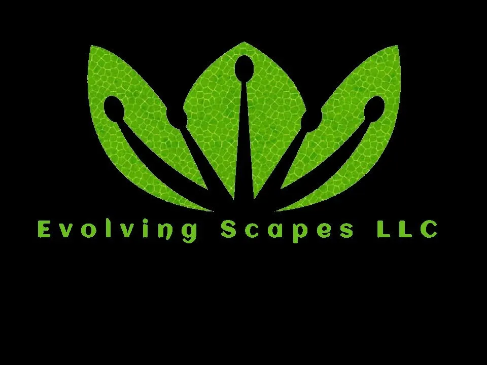 Custom outdoor landscaping in Canton, OH by Evolving Scapes