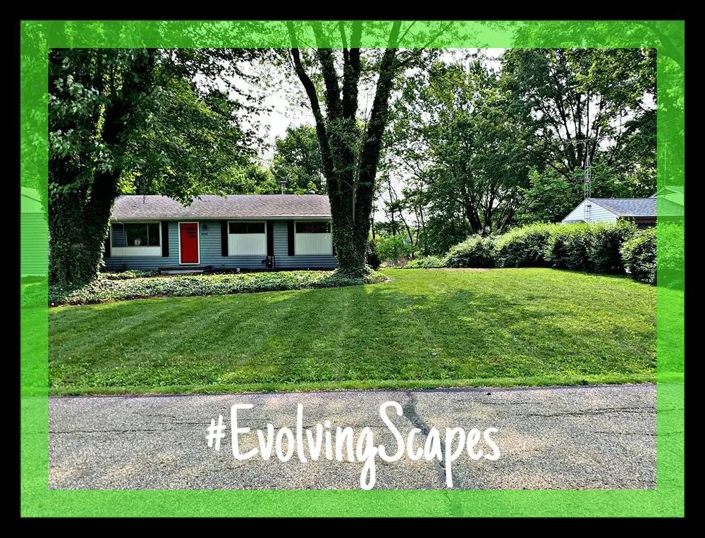 Top-rated garden landscaping in Canton, OH - Evolving Scapes