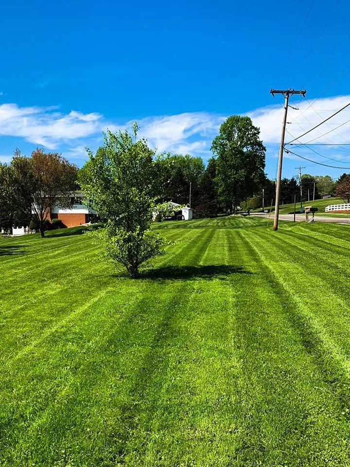 Expert landscape design in Canton, OH - Evolving Scapes