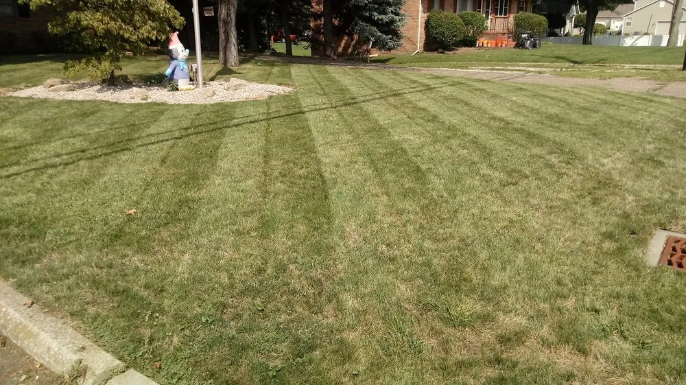 Expert landscaping services for year-round maintenance in Canton, OH by Evolving Scapes