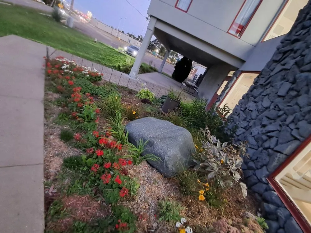 Professional landscaping services experts serving Brooklyn Center, MN - Evon Yards Services