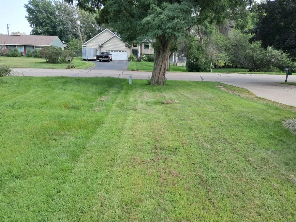 Reliable yard cleanup service in Brooklyn Center, MN - Evon Yards Services