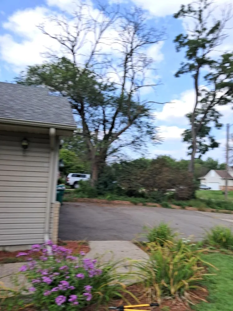 Reliable landscape installation experts serving Brooklyn Center, MN - Evon Yards Services