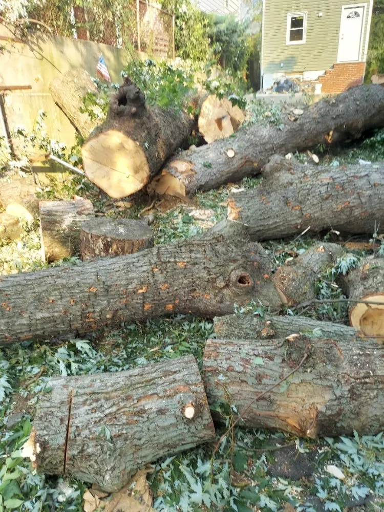 Expert lawn care service experts serving Glen Cove, NY - Evoras Landscaping Services