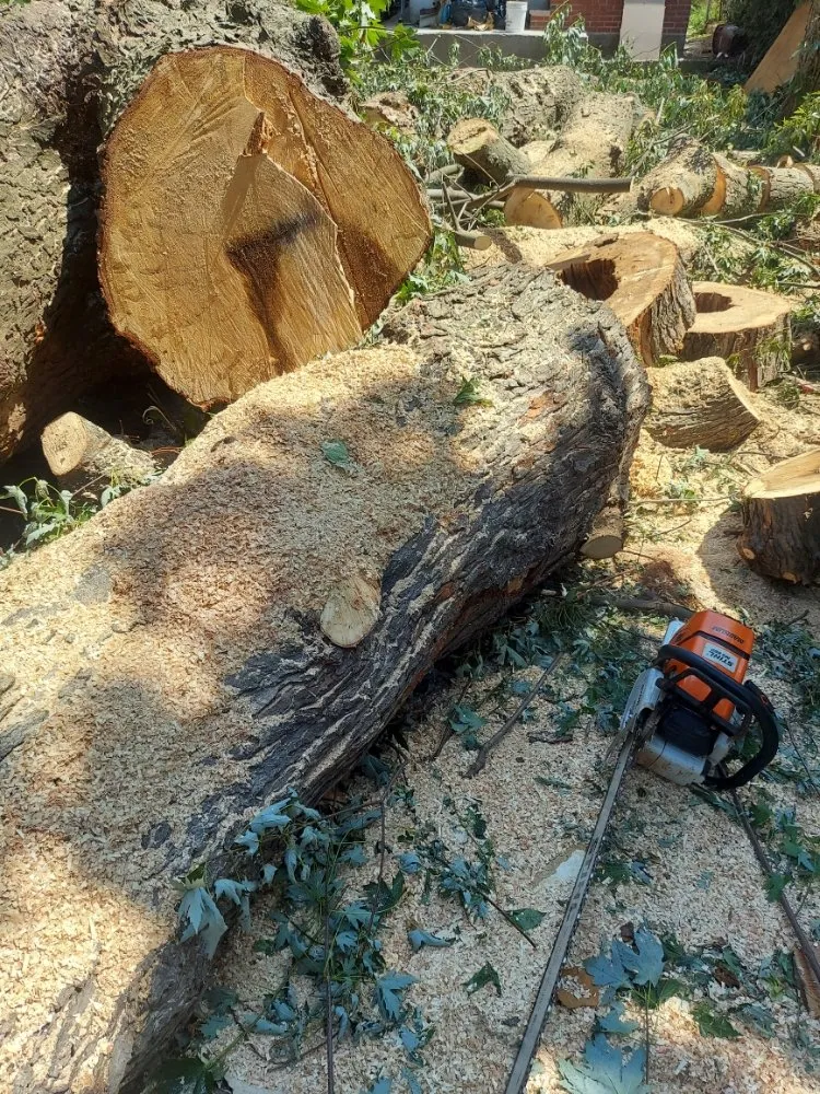 Reliable landscaping services in Glen Cove, NY - Evoras Landscaping Services