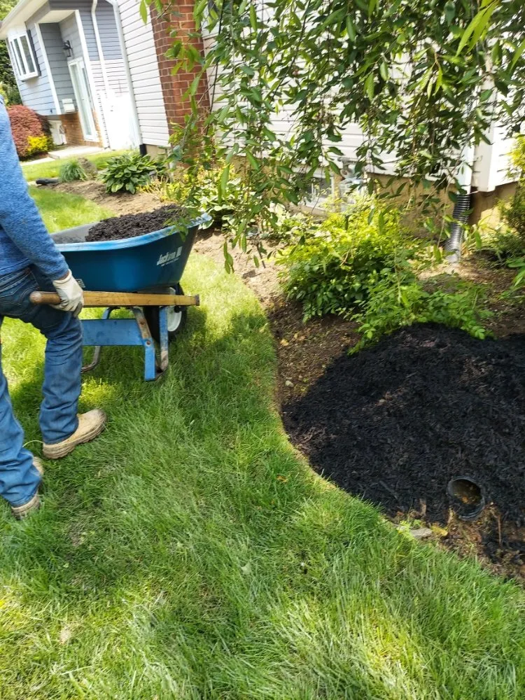 Expert lawn mowing service in Glen Cove, NY - Evoras Landscaping Services