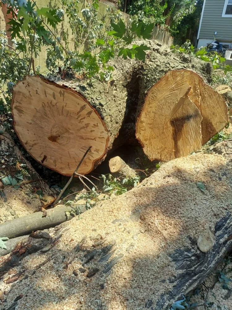 Reliable residential landscaping near you in Glen Cove, NY by Evoras Landscaping Services