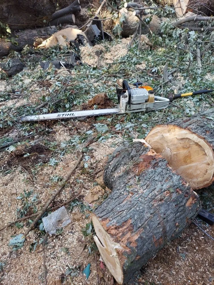 Local garden landscaping in Glen Cove, NY - Evoras Landscaping Services