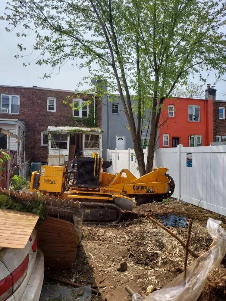 Reliable lawn care service for residential properties in Glen Cove, NY by Evoras Landscaping Services