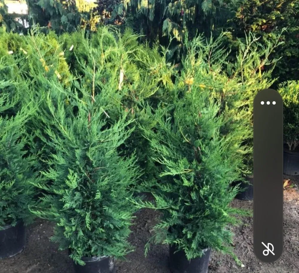 Custom lawn care service for homes across Glen Cove, NY - Evoras Landscaping Services