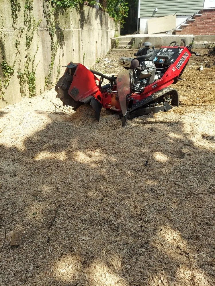 Local lawn care service in Glen Cove, NY by Evoras Landscaping Services