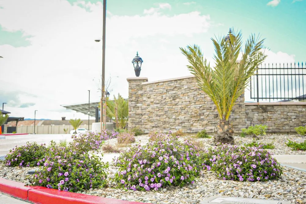 Custom garden landscaping in Greenfield, CA - Evos Landscaping