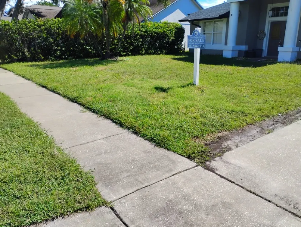 Reliable landscaping services in Mount Dora, FL - Evrrion