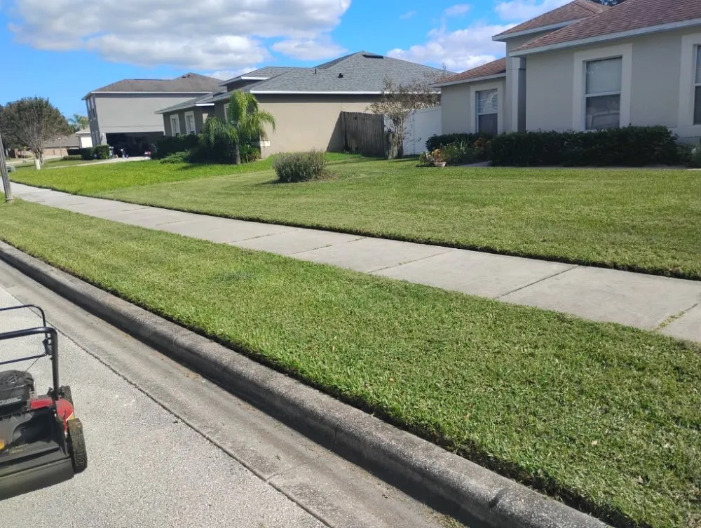 Top-rated residential landscaping in Mount Dora, FL - Evrrion