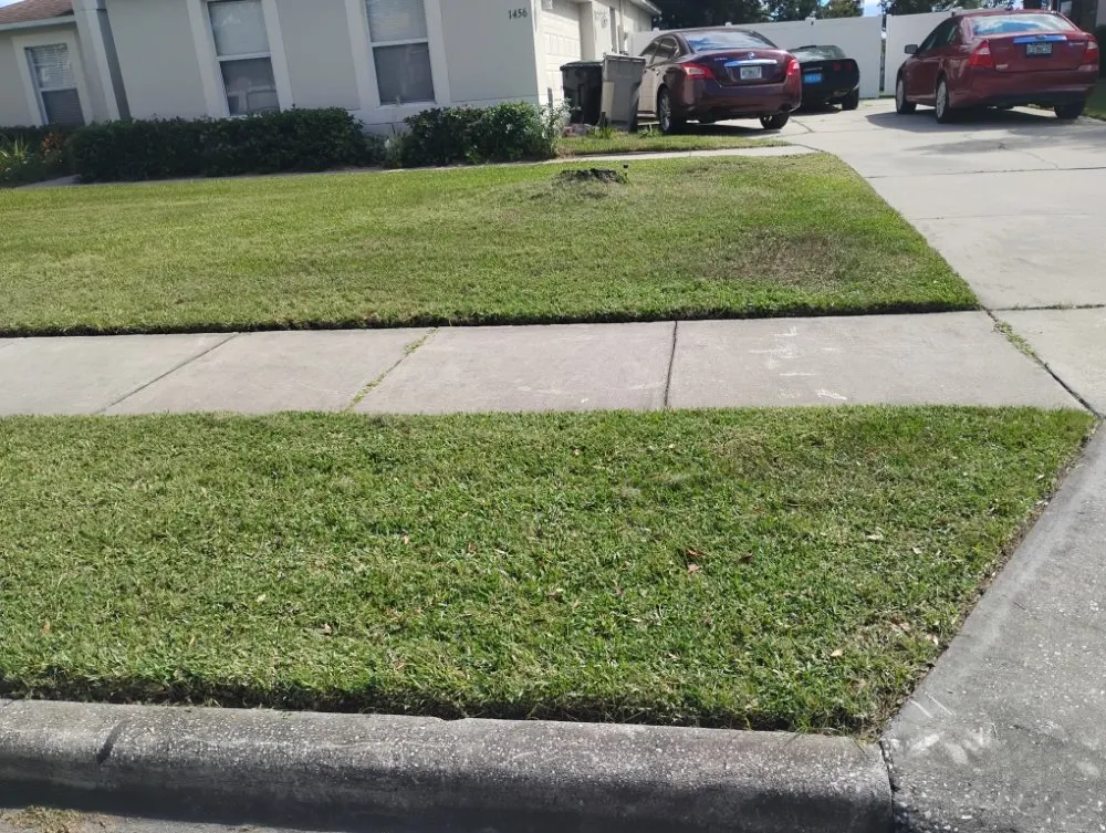 Custom landscaping services in Mount Dora, FL - Evrrion