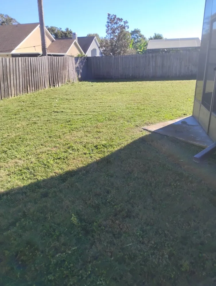 Expert lawn care service in Mount Dora, FL by Evrrion