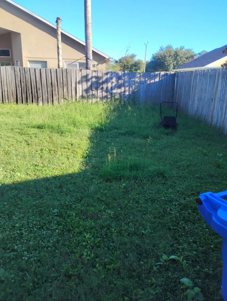 Affordable outdoor landscaping for homes across Mount Dora, FL - Evrrion