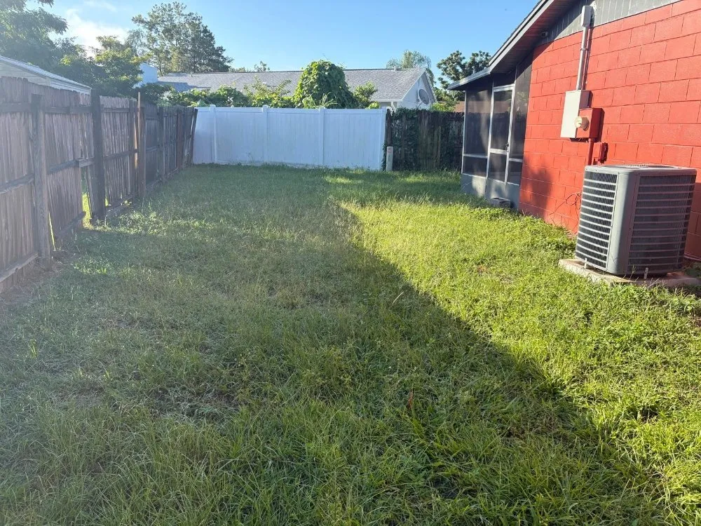 Reliable landscape installation for year-round maintenance across Mount Dora, FL - Evrrion