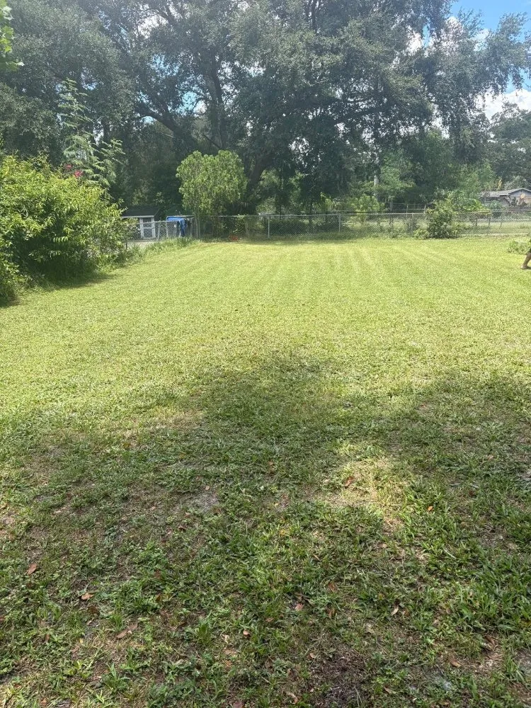 Expert lawn care service in Mount Dora, FL by Evrrion