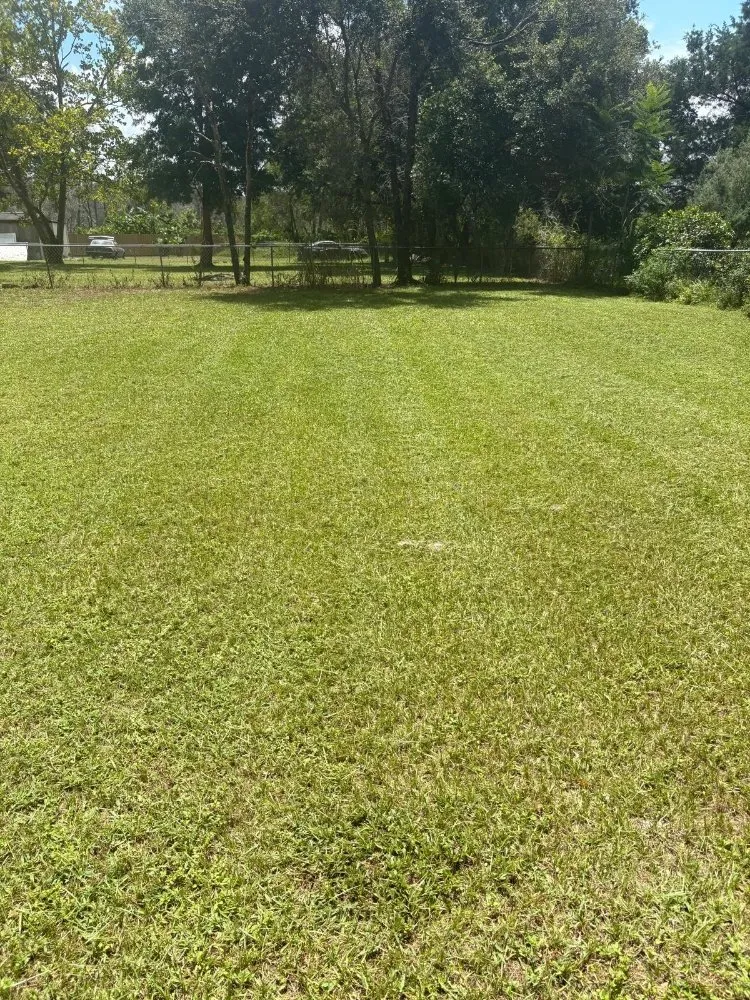 Custom landscaping services experts serving Mount Dora, FL - Evrrion