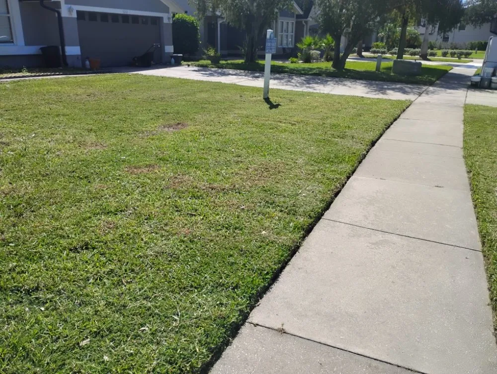 Expert landscaping services in Mount Dora, FL - Evrrion