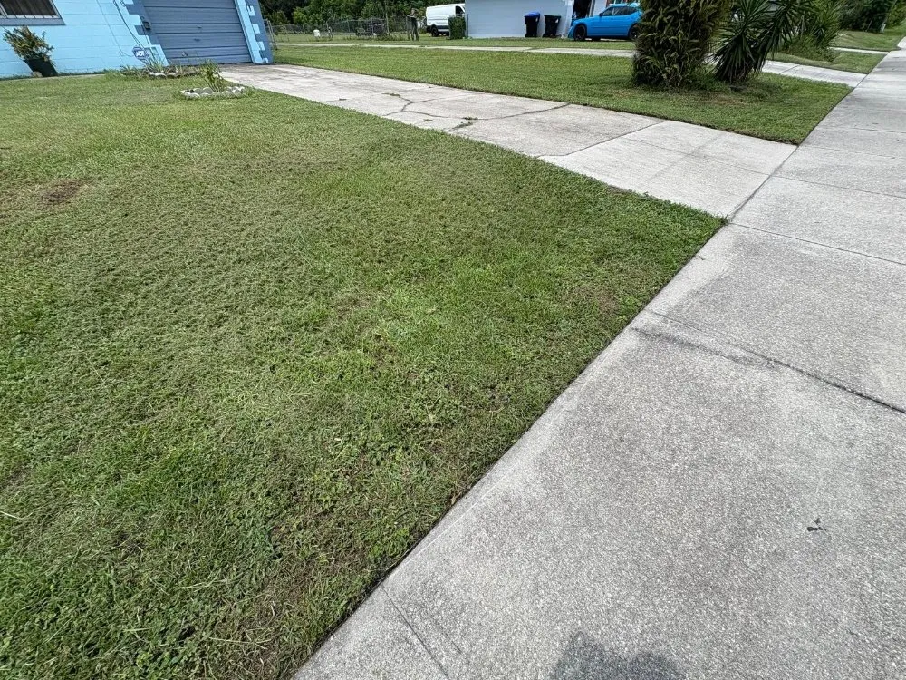 Trusted landscape design experts serving Mount Dora, FL - Evrrion