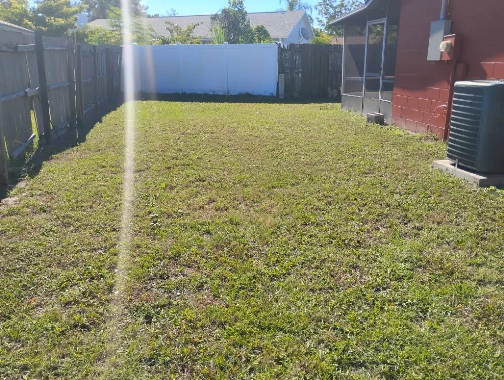 Local garden landscaping experts serving Mount Dora, FL - Evrrion