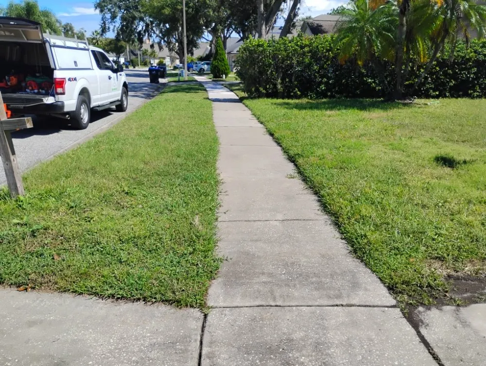 Custom yard maintenance in Mount Dora, FL - Evrrion