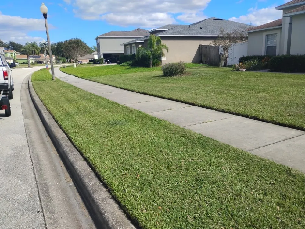 Top-rated residential landscaping in Mount Dora, FL by Evrrion