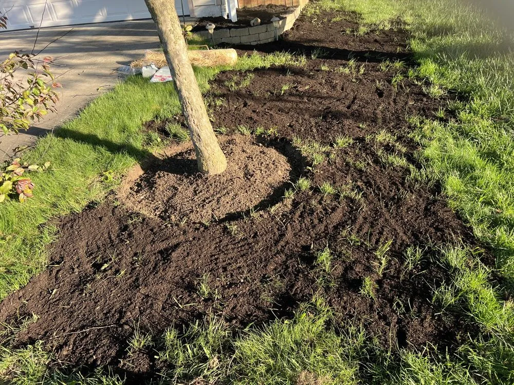 Affordable lawn mowing service in Columbus, OH - EVS Home Solutions