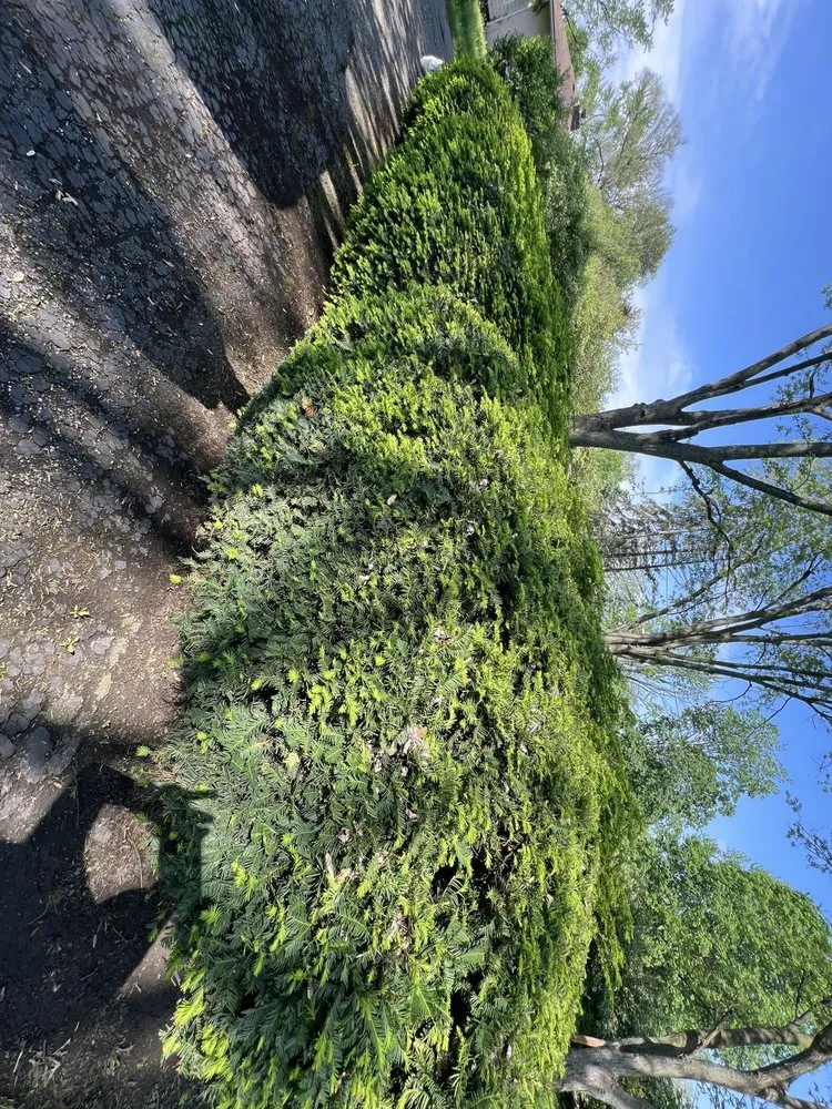 Reliable lawn care service in Columbus, OH - EVS Home Solutions