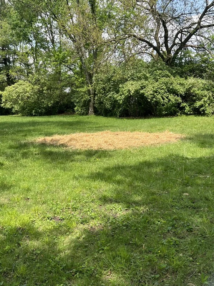 Affordable yard cleanup service for homes in Columbus, OH by EVS Home Solutions