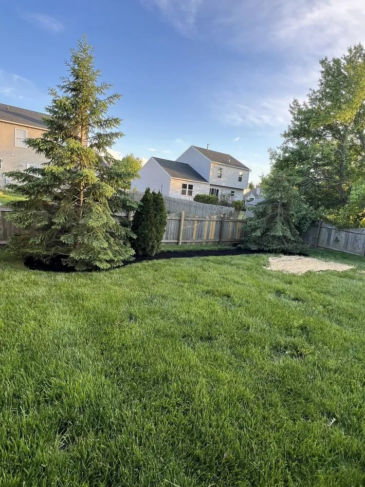 Professional yard maintenance for homes in Columbus, OH by EVS Home Solutions