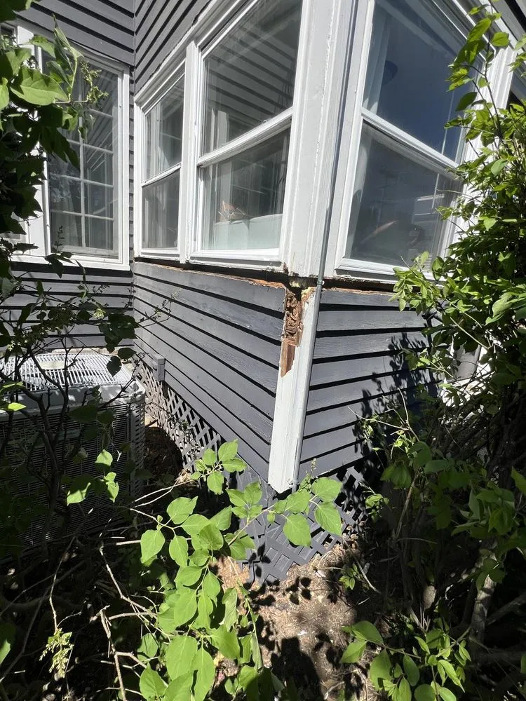 Affordable yard maintenance experts serving Columbus, OH - EVS Home Solutions