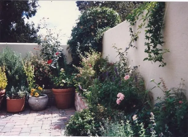 Top-rated landscape design for beautiful yards in Menlo Park, CA by EW Landscape, Inc.