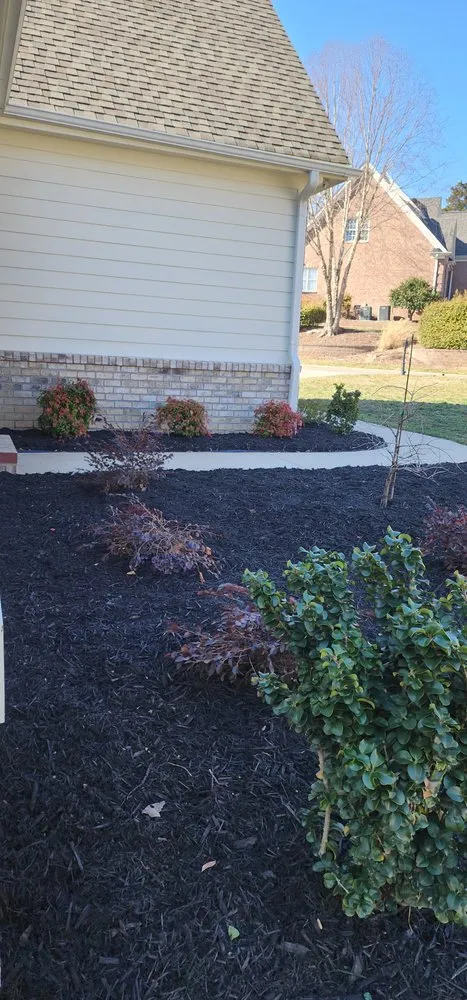 Top-rated landscaping services experts serving Archdale, NC - E&W Lawn Care