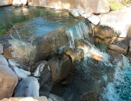 Custom lawn care service in Oklahoma City, OK - EWF Earth Water Fire