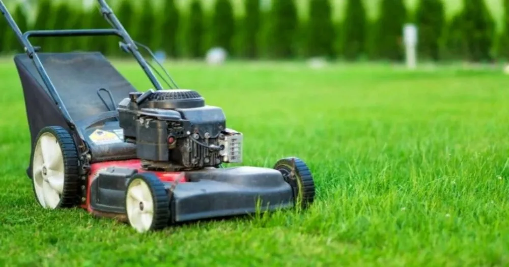 Top-rated landscape design in Houston, TX by EWS Lawn Care