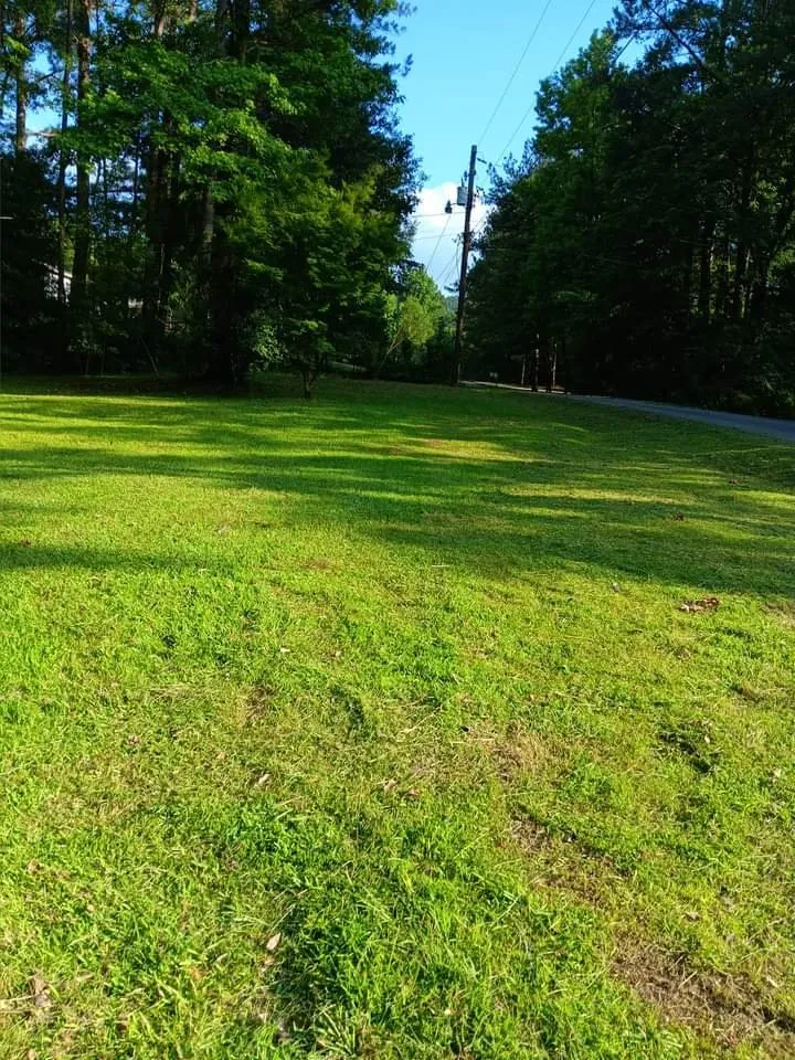 Expert landscape installation with custom design across Moody, AL - Exact Lawn Care