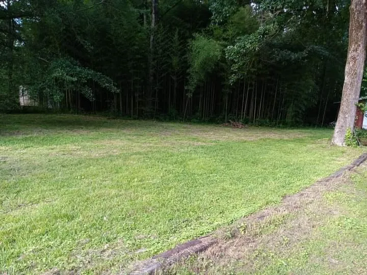 Expert lawn mowing service near you in Moody, AL by Exact Lawn Care