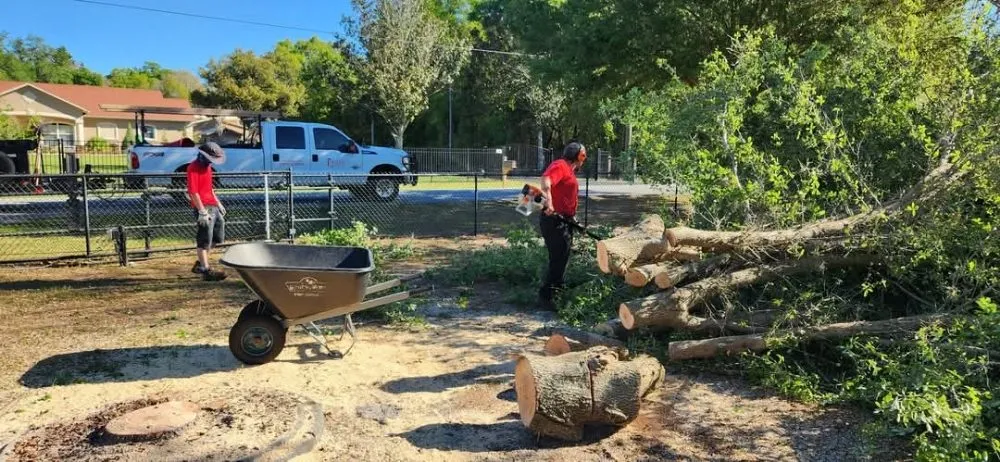Local residential landscaping in Saint Cloud, FL by Exalt Outdoor Services