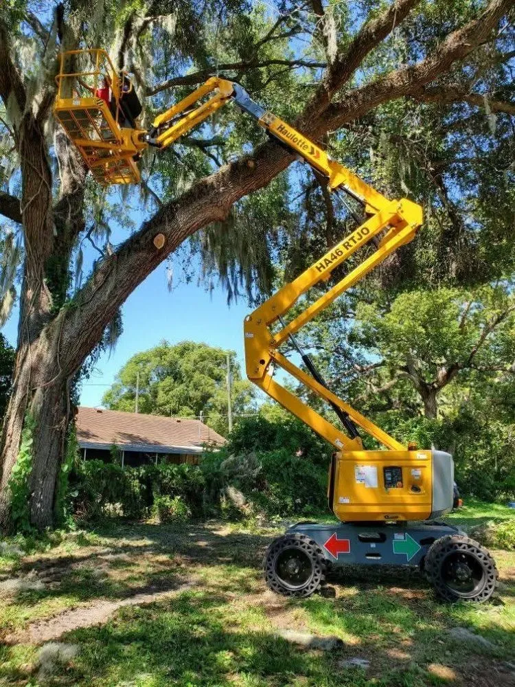 Local garden landscaping in Saint Cloud, FL by Exalt Outdoor Services