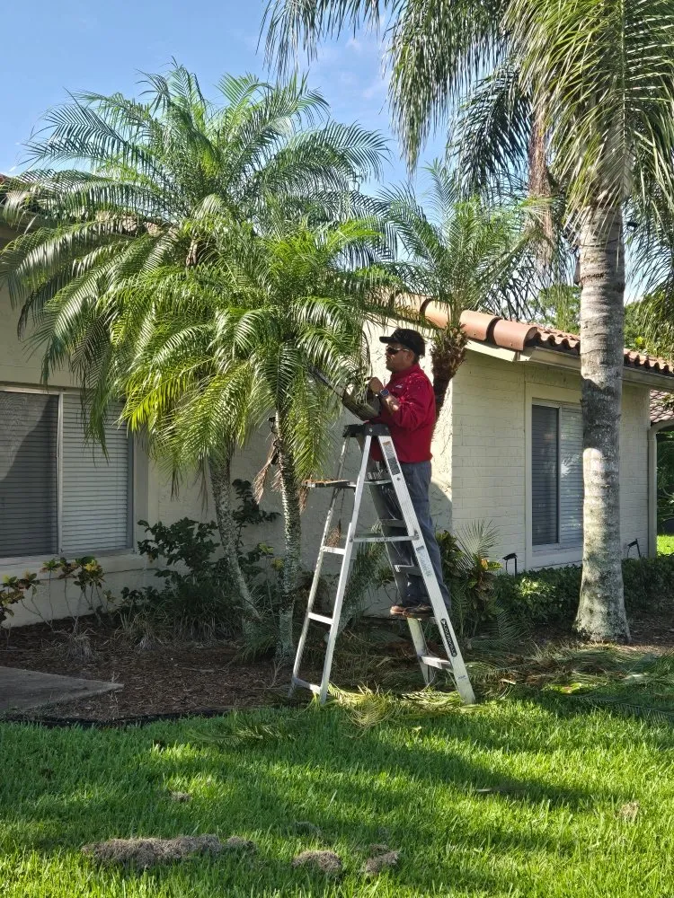 Trusted outdoor landscaping with custom design across Saint Cloud, FL - Exalt Outdoor Services