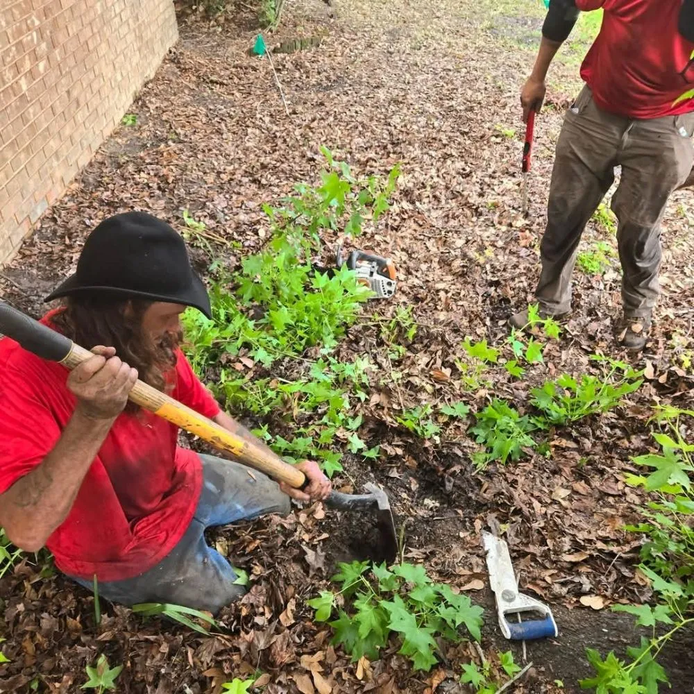 Expert lawn care service in Saint Cloud, FL - Exalt Outdoor Services