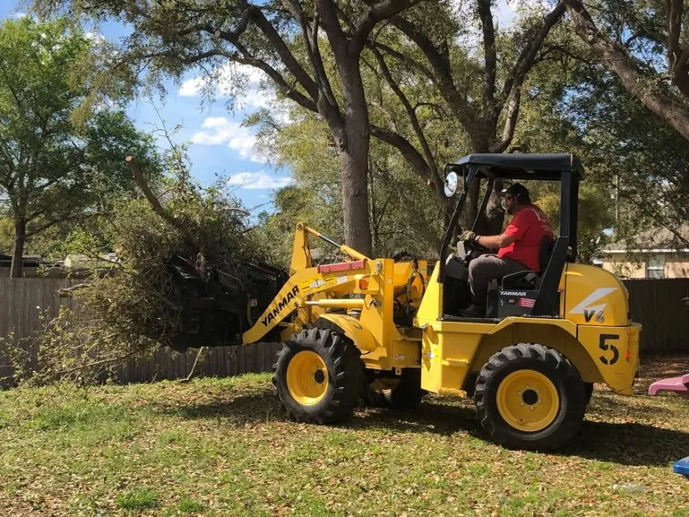 Professional yard cleanup service experts serving Saint Cloud, FL - Exalt Outdoor Services
