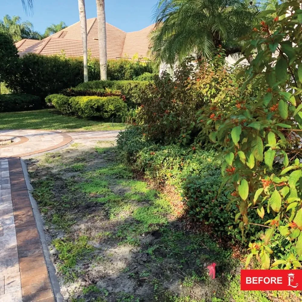 Trusted landscape installation in Saint Cloud, FL - Exalt Outdoor Services