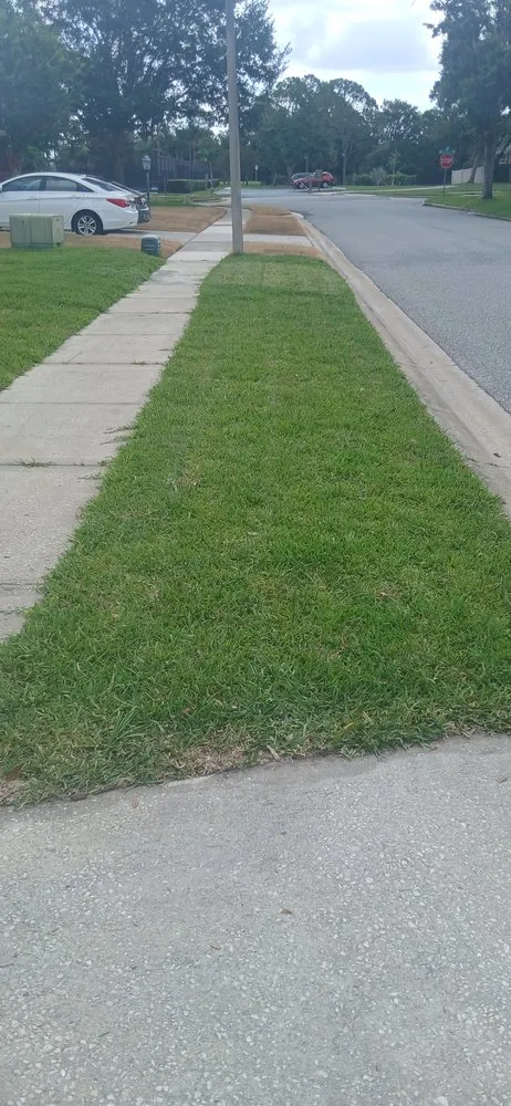 Top-rated landscape installation in Saint Cloud, FL by Exalt Outdoor Services