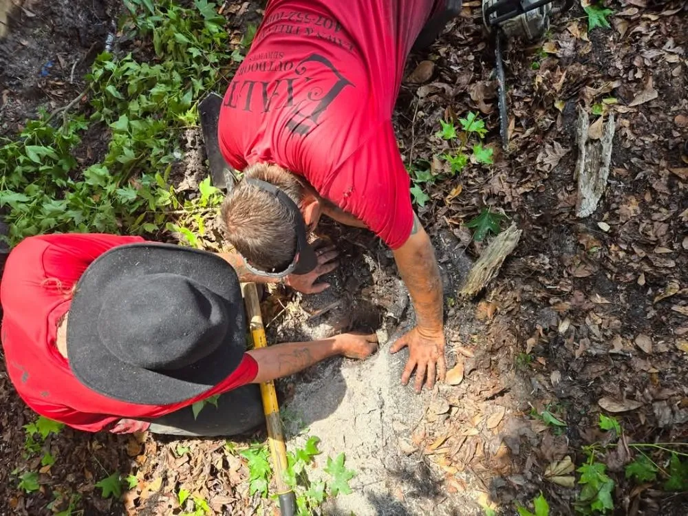 Affordable garden landscaping in Saint Cloud, FL - Exalt Outdoor Services