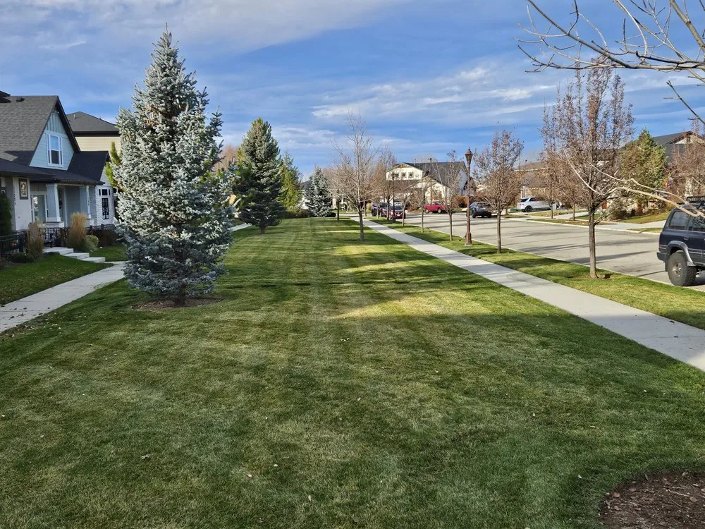 Custom yard cleanup service with custom design in Boise, ID by Excalibur Landscapes